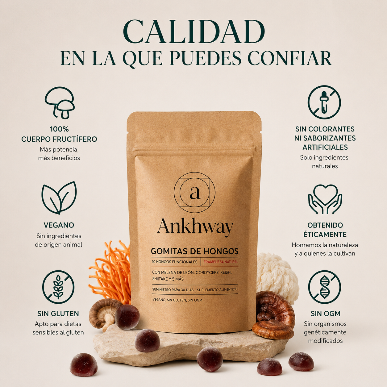 ANKHWAY GOMITAS CON COMPLEJO INTEGRAL DE 10 HONGOS